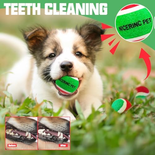 X-Small Dog Tennis Balls Dog Toys Ball 1.5" Pack of 12, Fit Ball Launchers,Dog Toys