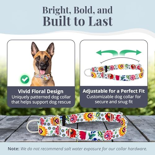 Lucky Love Dog Martingale Collar for Large Dogs No Slip – Ladybird, Large