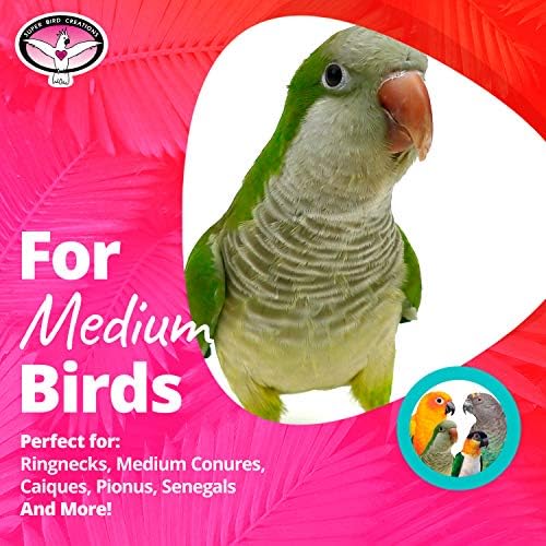 Super Bird Creations SB736 Wiggles and Wafers Bird Toy - Interactive Enrichment for Conures, Quakers, Caiques, Pionus, Senegals - Wooden, Acrylic Beads, Pacifiers - Medium Bird Size, 3” x 5” x 9”