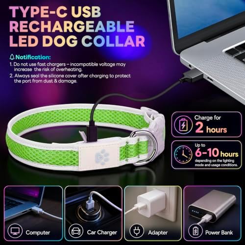 Multicolor LED Dog Collar USB-C Rechargeable, Light Up Dog Collar, Rainbow Gradient Glowing Dog Collar with 4 Light Modes, Adjustable Candy Mesh Pet Collar(Green, Small)