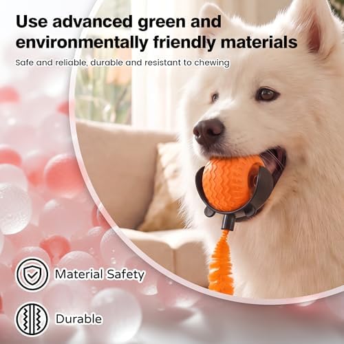 ZUAMEGUCat Toys for Indoor Cats - Interactive Rolling Ball