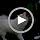 Ball on Rope Dog Toy - Durable Interactive Training Toy