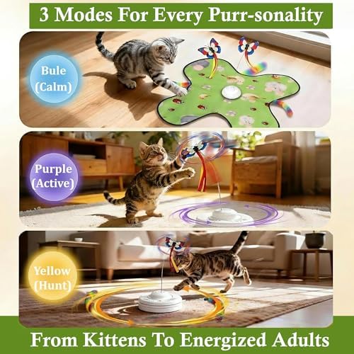 Interactive Cat Toys for Kitten & Adult Cats 3-in-1 Touch Activated