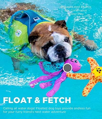 Outward Hound Floatiez Turtle Floating Interactive Dog Toy, Medium