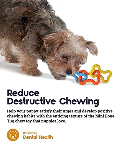 Pupstages Mini Bone Tug Dental Dog Chew Toy, Floppy & Textured, 6.3"