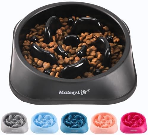 MateeyLife 1-Pack Slow Feeder Dog Bowls, 2 Cups, Dog Puzzle Feeder Bowl