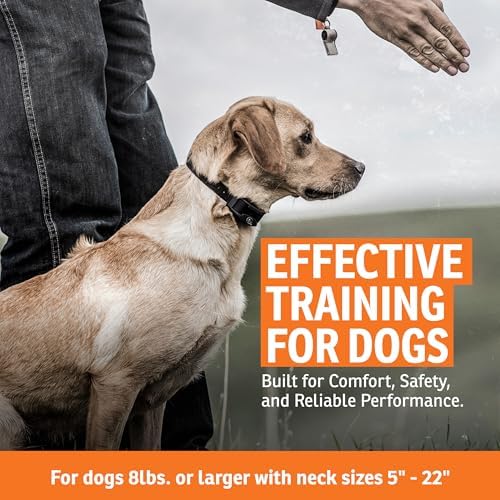 SportDOG UplandHunter 1875 Add-A-Dog Collar, Waterproof, Dogs 8 lb+