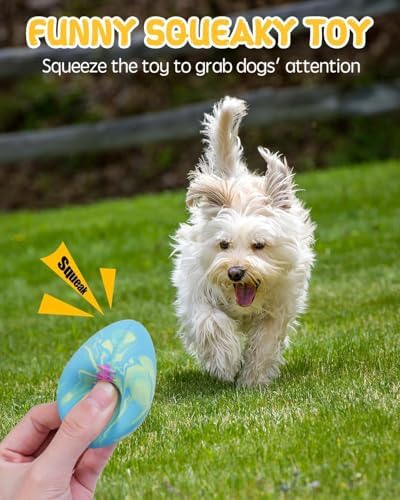 SCHITEC Dog Squeaky Toy Balls, Interactive Squeak Puppy Balls for Fetch Play, Latex Rubber Pet Toy for Puppies Mini Breed Small Dogs