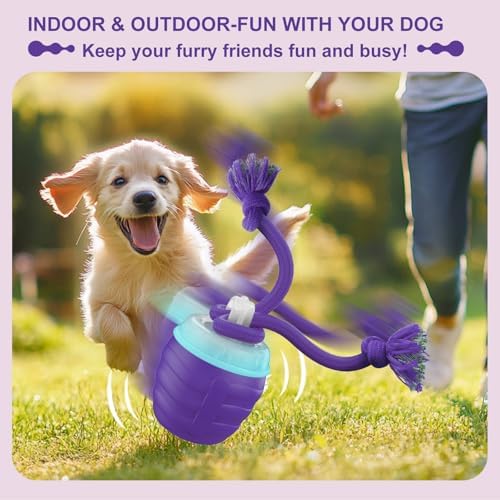 Interactive Dog Toy, [Newly Upgraded] Motion Activated Rolling Ball for Small Dogs, Automatic Moving Dogs Ball for Boredom, USB Rechargeable(Purple)