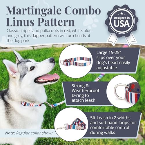 Lucky Love Dog Martingale Collar & Leash Set No Slip Cute – Linus, Large