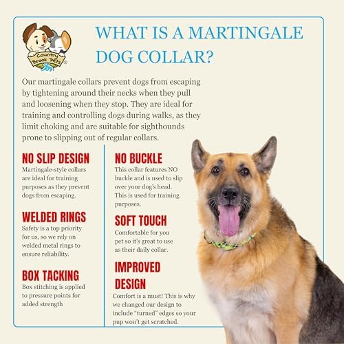 Country Brook Petz - HossFit Jr Wide Martingale Dog Collar - Plaid and Argyle Collection Featuring Charming Designs (Margarita Argyle, Large)