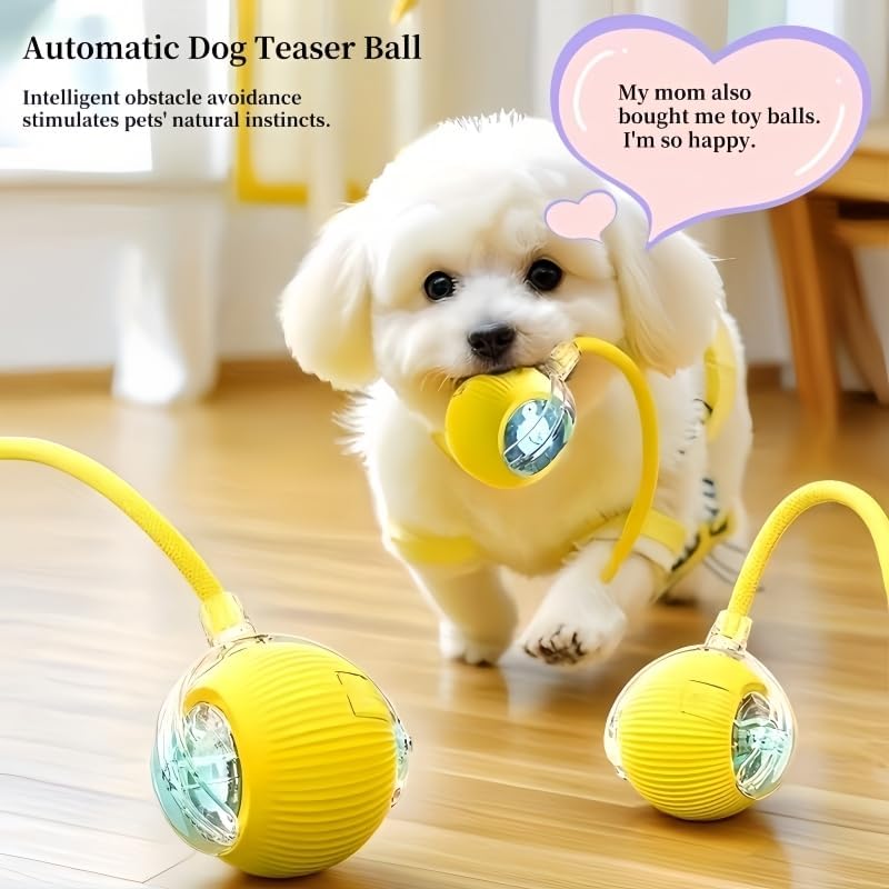 Nicoybore pet toy ball, USB charging, automatic standby, made of durable materials, providing interactive entertainment for cats and dogs. Luminous sphere attracts pets to chase after (1, yellow)