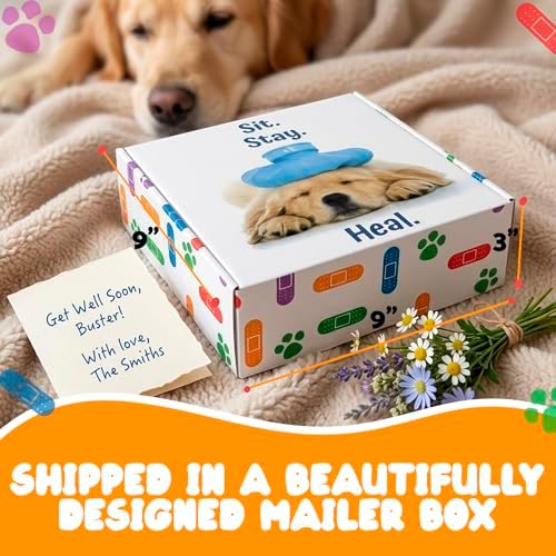 Get Well Soon Dog Gifts, Dog Care Package, Puppy Gift Basket with 3 Dog Treats and 4 Toys, Adorable Puppy Gift Basket, Pet Care Package