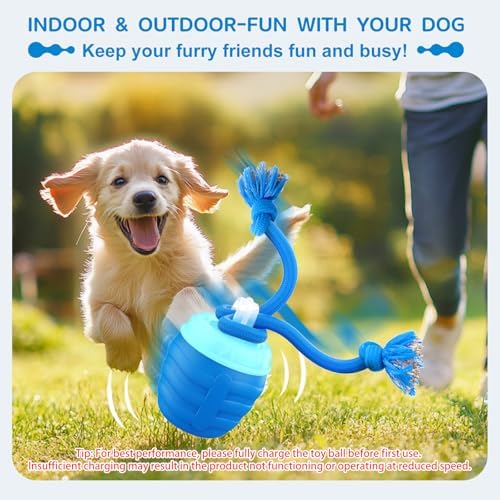 Interactive Dog Toys Ball, Automatic Motion Activated Dog Interactive Toy for Medium/Large Dogs, Moving Dogs Ball for Boredom(Blue)