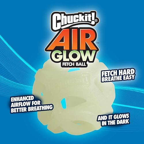 Chuckit! Air Glow Fetch Ball Dog Toy, Medium 2.5in, 2 Pack