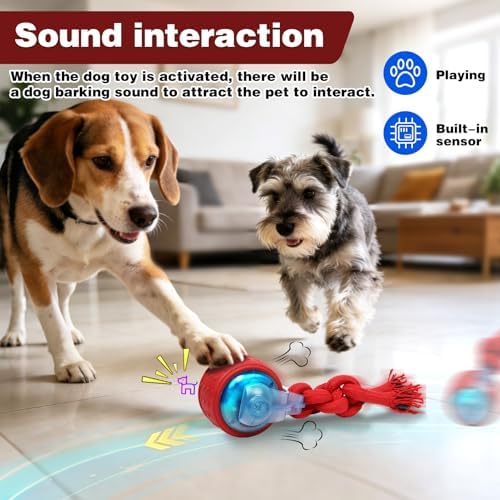 Muhhiba Interactive Dog Toys, Automatic Moving Dog Toy with Rope, Motion Activated, Rechargeable Dog Ball to Keep Them Busy