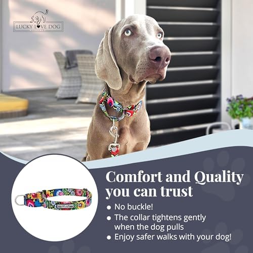 Lucky Love Dog Martingale Collar & Leash Set No Slip – Blackbird, Medium