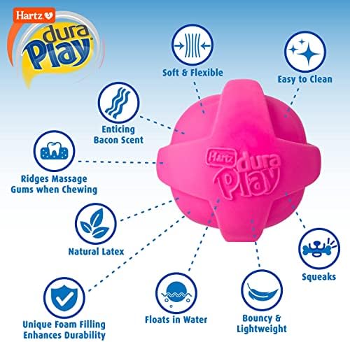 Hartz DuraPlay Ball Squeaky Latex Dog Toy, Neon Green, Pink & Neon Orange, Large 3 Count (Pack of 12)