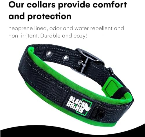 Black Rhino Dog Collars for Small Dogs - Adjustable Reflective Heavy Duty Dog Collar with Ultra-Soft Neoprene Padding - Weatherproof, Durable, and Comfortable for Active Dogs - Green and Black