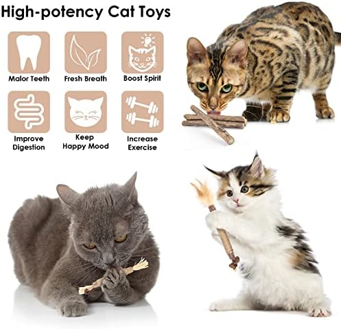 Bissap 10 PCS Silvervine Chew Sticks for Cats, Catnip Chew Sticks Cat Toys for Indoor Cat Kitten Teeth Grinding Interactive Feather Toys for Aggressive Chewers Dental Care