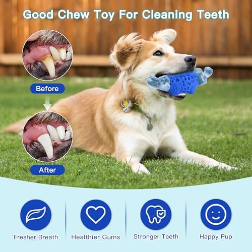 Dog Toys for Aggressive Chewers, Tough Squeaky Dog Chew Toy
