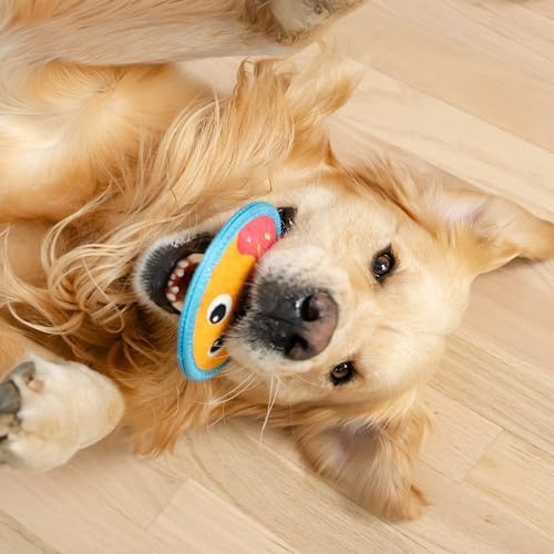 Outward Hound Tough Skinz Durable Chew Plush Squeaky Dog Toy, Donut, 5.1"