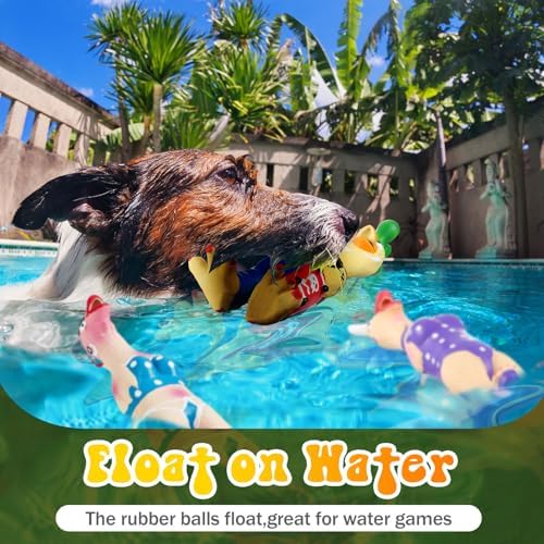Silipull 3 Pcs Squeaky Rubber Chicken Dog Toys Latex Chew Toys, Funny