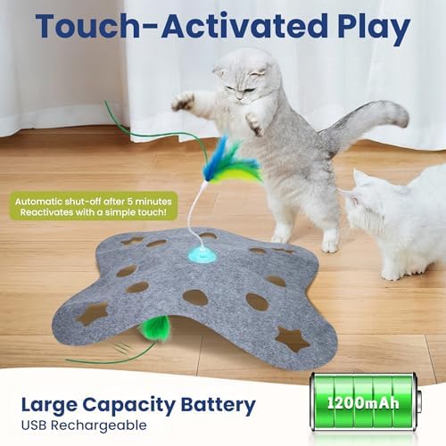 PAWSPIK Tumbling 3-in-1 Interactive Hide & Seek Cat Toy
