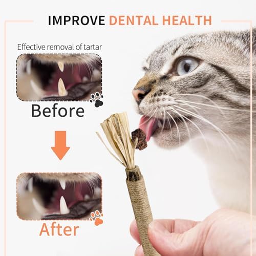 Natural Silvervine Sticks 3Pcs, Cat Chew Toys for Kitten Teething