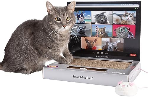 WHAT DO YOU MEME? Paws & Relax Pet Massager