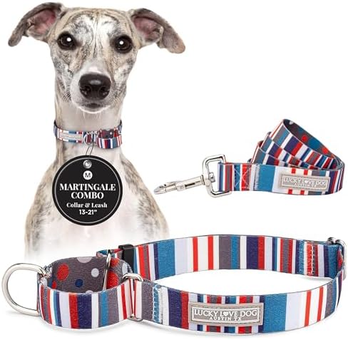 Lucky Love Dog Martingale Collar & Leash Set No Slip Cute – Linus, Medium