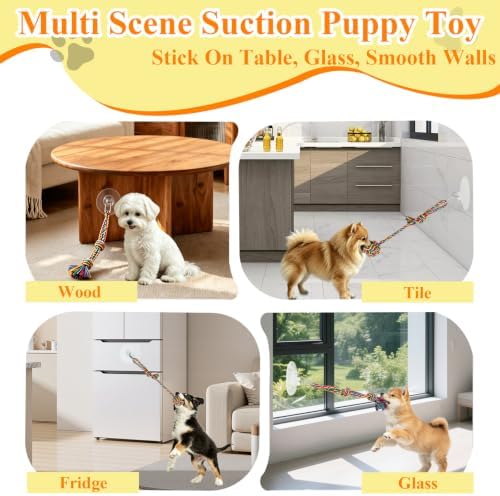 Suction Cup Tug of War Toy for Small Dogs Interactive Dog Rope Toy