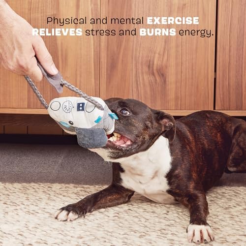 BarkBox Licka K9 Camera Dog Toy - Toy for Medium to Large Dogs
