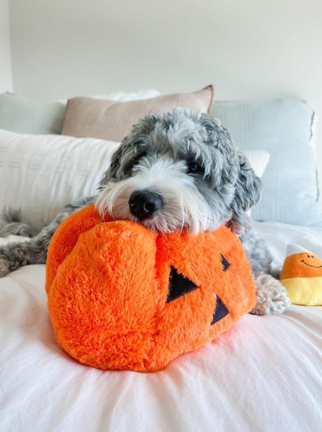 Midlee Pumpkin Find a Toy Halloween Dog Toy Interactive Plush SqueakerGift