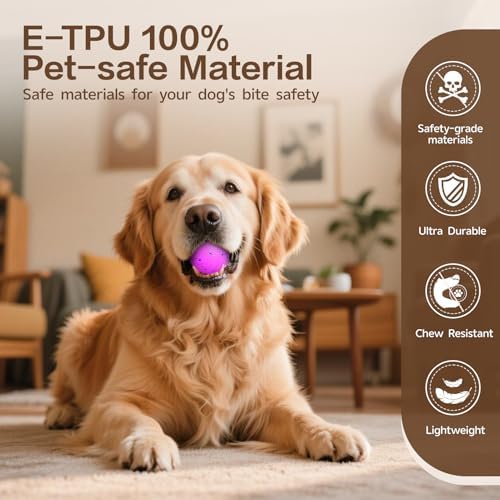 Interactive Dog Ball, Smart Interactive Dog Toys for Medium and Large Dogs