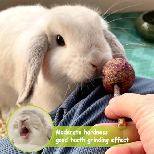 kathson 16PCS Rabbit Timothy Hay Treats Sticks,Interactive Bunny Lollipop Chew Sticks,Natural Guinea Pigs Chewing Treats Molar Teeth Toys for Small Animals,Chinchilla,Hamster,Gerbil
