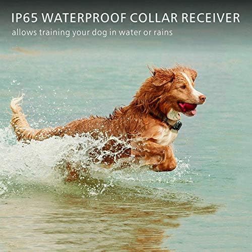 F-color Dog Training Collar Rechargeable Waterproof Dog Shock Collar for Dogs with Remote 2600ft with Beep Vibrating Shock LED Light 4 Modes for Small Medium Large Dogs