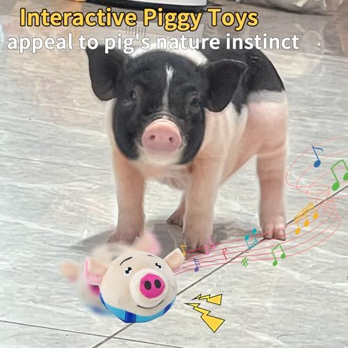 Interactive Toy for Mini Pig - Pigs Toy, Bouncing Toy Ball with Music and Recording for Mini Pigs, Pet Pig Supplies, Moving Ball Chew Toys for Pig to Keep Them Busy for Boredom