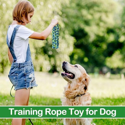 18 Pcs Dog Rope Toys Set Interactive Chew Balls Toys for Aggressive Chewers Large Medium Small Dogs Pet Puppy Teeth Cleaning Fun Training Birthday Gifts Blue Green