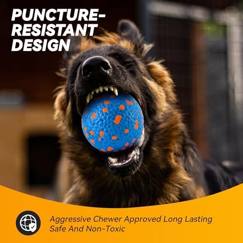 FUSOTO 2Pcs Dog Balls, Tennis Balls for Dog, Blue