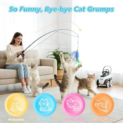 Pawaboo Cat Teaser Wand Toys, Cat Fishing Pole Toy with 3 PCS Feathers