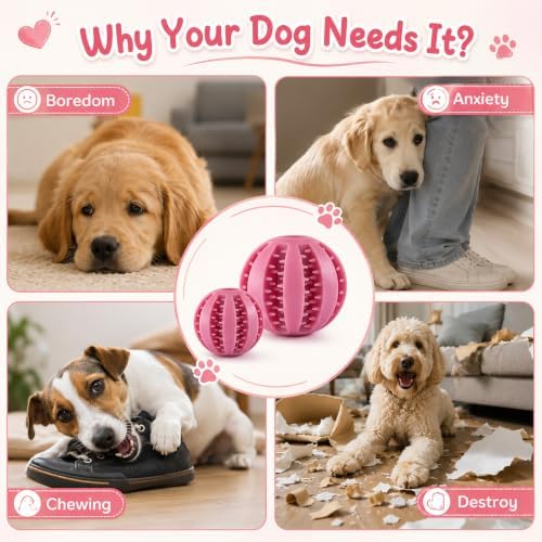 GASHIK Dog Treat Ball for Dogs, Rubber Dental Chew Toy for Dogs
