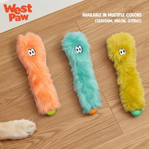WEST PAW Rowdies Sven Durable Plush Dog Toy with HardyTex Reinforced Seams Squeaker - Soft Plush Exterior Hand Sewn by Skilled Artisans and Made in USA for Dogs - Melon