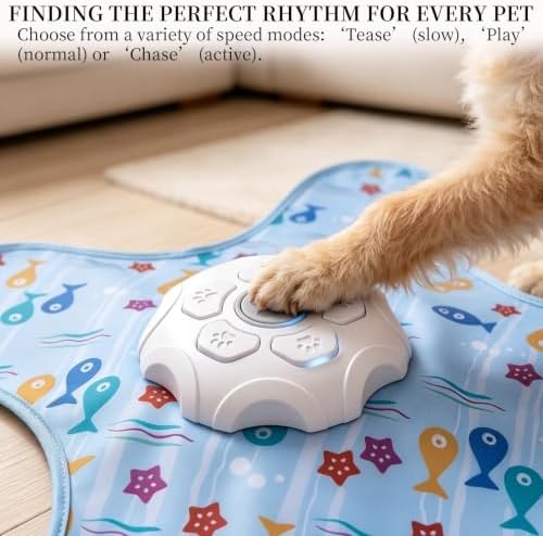 Hunting Fun Teasing Dog Toy, Automatic Dog Chase Toy Motorized line Blanket