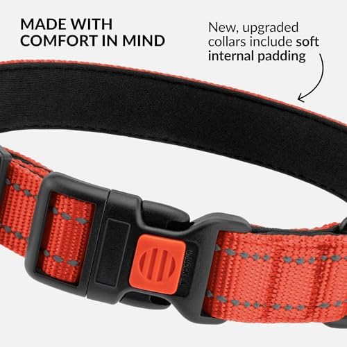 Reflective Dog Collar, Quick-Release Buckle (Orange, 12-16 Inch)