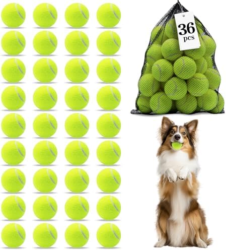 Magicorange Tennis Balls for Dogs,Colorful Easy Catching Dog Balls,36 Pack