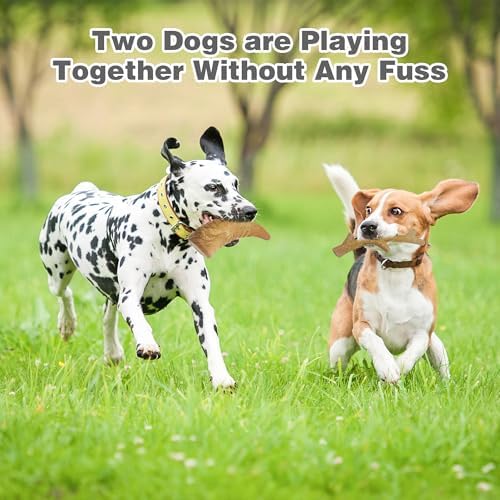 Durable Dog Chew Toys for Aggressive Chewers - Real Bacon Flavor, Indestructible 2-Pack for Large Dogs, Medium & X-Large Options Available， Size-1