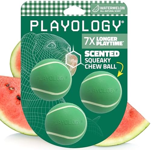 Playology Squeaky Chew Ball Dog Toy - Small, Watermelon Scent, 3-Pack