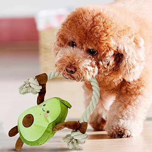 Native Pup Dog Toy Rope and Plush Stuffed Squeaker, Tug of War Toys for Dogs, Puppy Welcome Home Add on for Pets (Avocado)