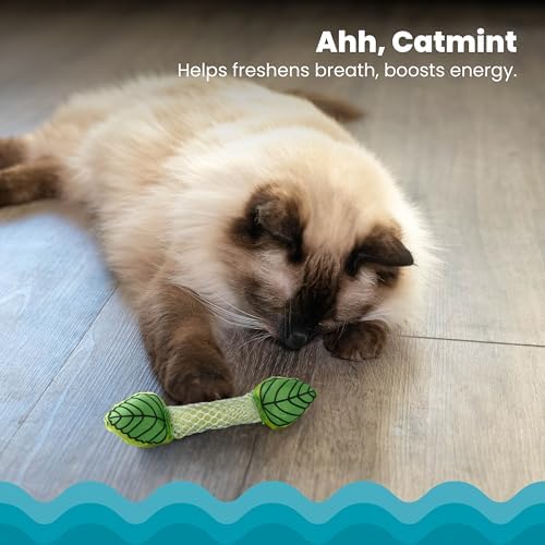 Catstages Fresh Breath Mint Stick Dental Cat Chew Toy with Catmint,Teeth Cleaning & Fresh Breath,Solo or Interactive Play,Green,(Pack of 2)